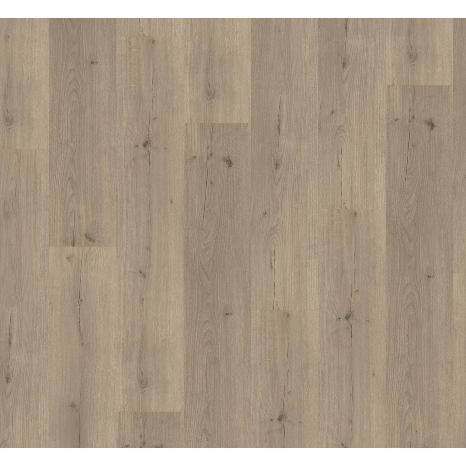 PARADOR Vinyl Basic 30 Eiken Infinity Grijs